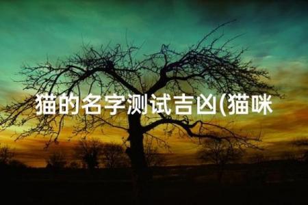 英文吉凶测试