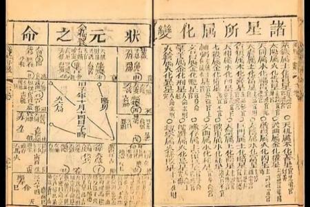 双星紫薇斗数
