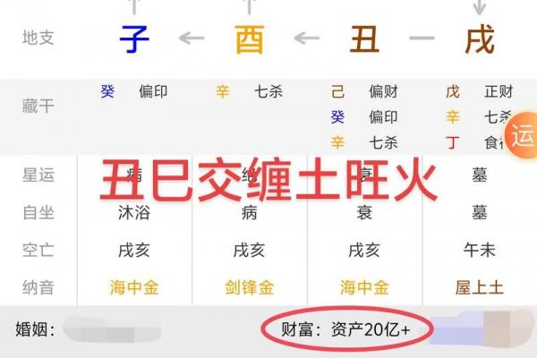 八字丑中含