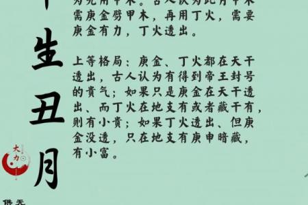 八字丑中含