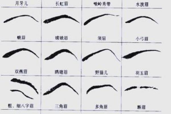 八字眉头的面相图解