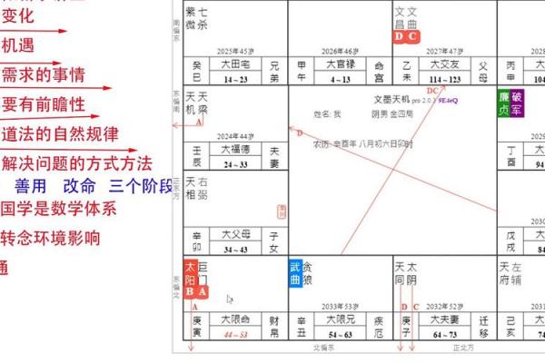 紫薇斗数如何四化 紫薇斗数如何四化