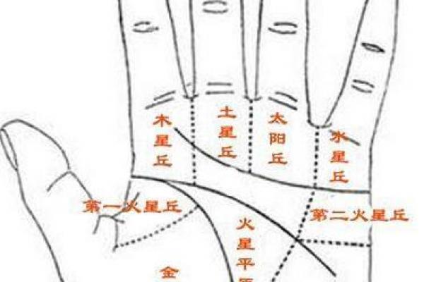 八字和手相 八字和手相