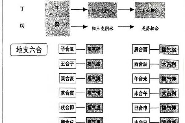 地支八字