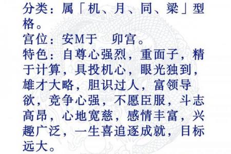 紫薇斗数中陷是什么意思6