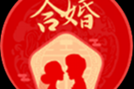 在线八字合婚