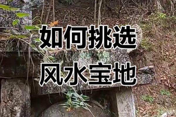 墓地风水的中明堂 墓地风水的中明堂