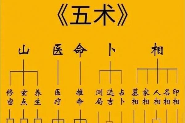 倪师设计紫薇斗数 倪师设计紫薇斗数