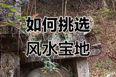 墓地风水的中明堂