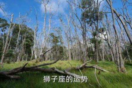 梦见拜五大仙灵签