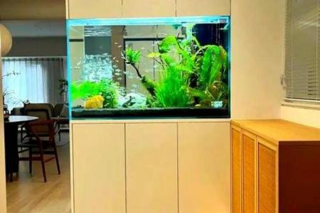 客厅鱼缸风水上应该如何摆放
