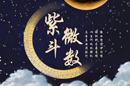紫薇斗数博士入财帛