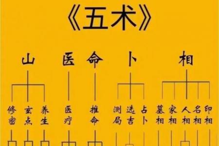 倪师设计紫薇斗数