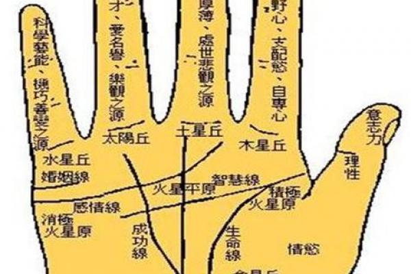 男士手相算命 男士手相算命