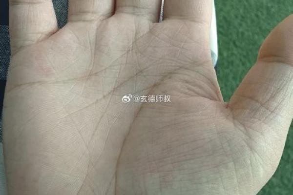 手相算命:川字掌的性格特点 手相算命:川字掌的性格特点