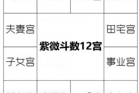 紫微斗数诸星落诸宫之:天府星官禄宫详解