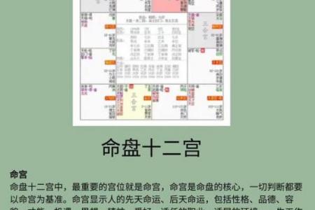 紫薇斗数太阳入命宫
