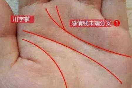 手相算命:川字掌的性格特点