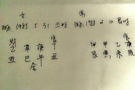 算命先生说我的婆娘在东南方向! 农村里的冬日