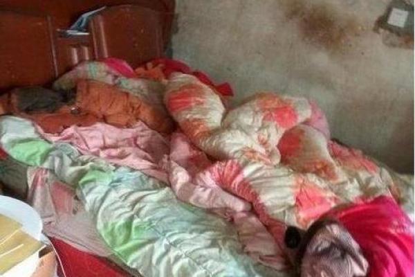 婆婆房子风水差怎么办呢 婆婆房子风水差怎么办呢