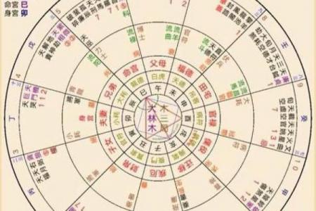紫薇斗数的命盘如何抑