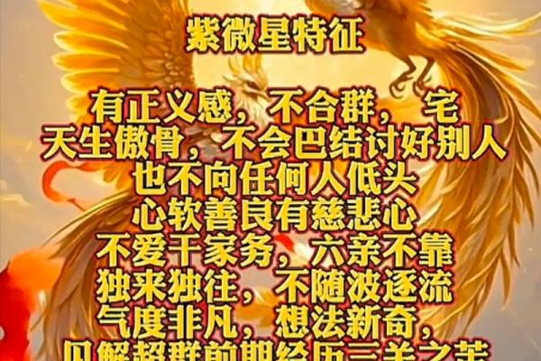 紫薇星明什么意思 紫薇星明什么意思