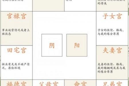 紫微斗数之夫妻宫四化飞星,是什么意思？