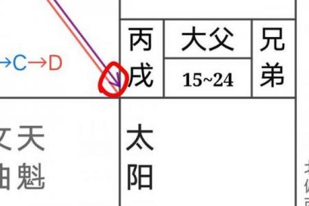 紫微斗数之宫干四化法