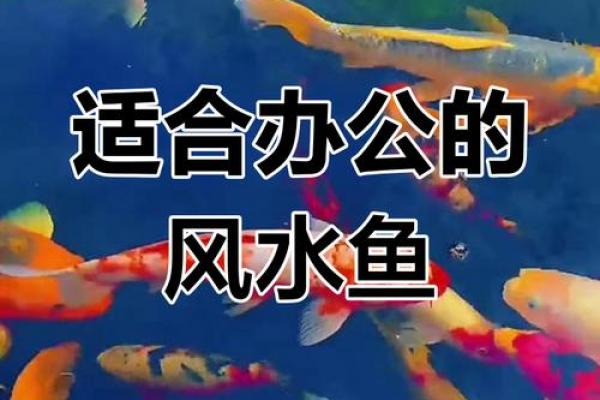 风水观点养鱼养几条旺财风水 风水观点养鱼养几条旺财风水