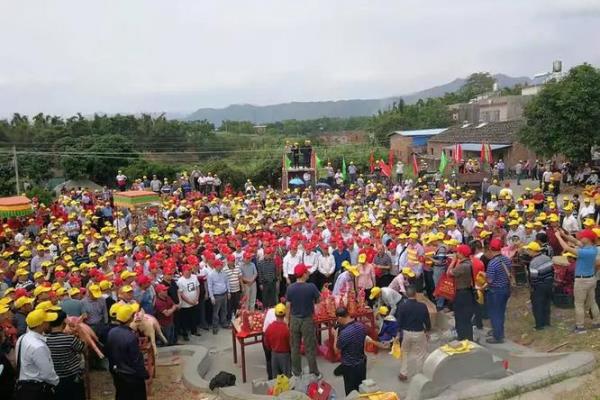 双猪双羊算命详解 双猪双羊算命详解