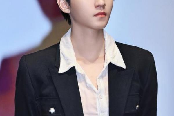 王俊凯紫薇斗数 王俊凯紫薇斗数