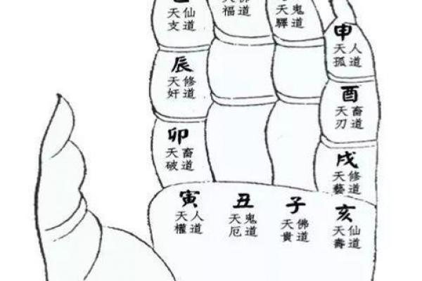 一掌经算命法 一掌经算命法