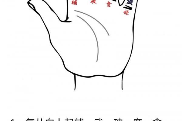一掌经算命法 一掌经算命法