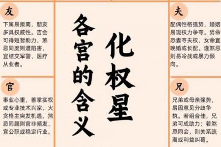 紫微斗数命盘12个宫位