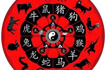 属相与住房楼层的风水作用大不大?