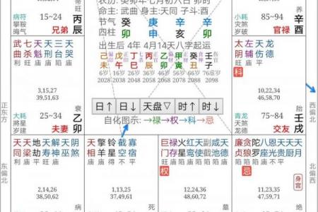 紫微斗数图录 紫薇斗数图?