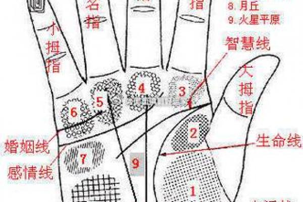 手相风水：命运线中间断开象征什么意义
