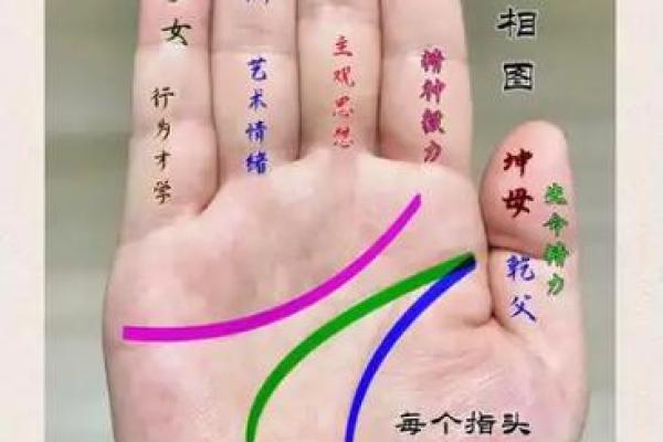 测试：食指无名指的长短决定你的一生，你的运势如何？