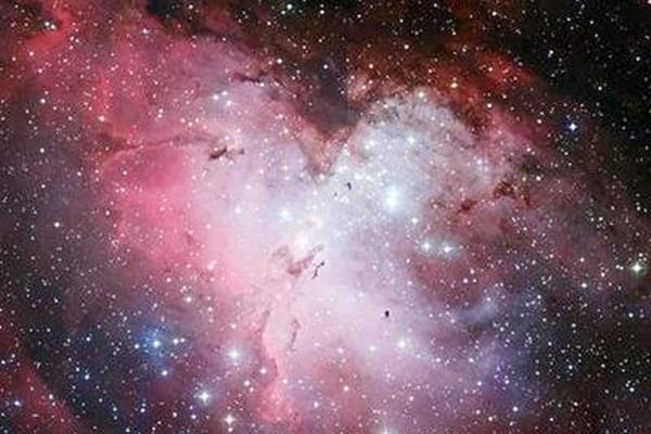 皮肤白紫薇斗数 皮肤白紫薇斗数