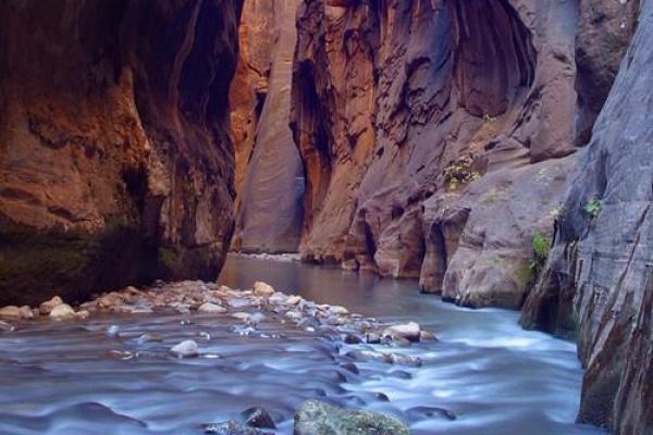 梦见去越南算命了