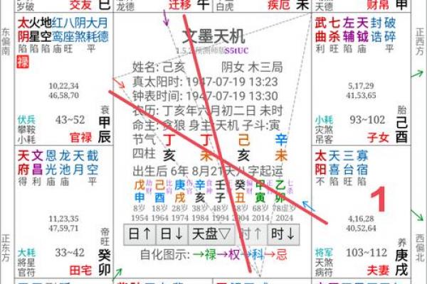 紫薇斗数怎么数岁数