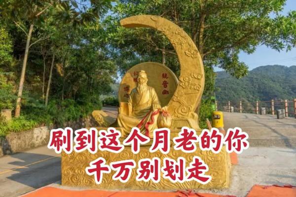 月老掉线姻缘树 月老掉线姻缘树