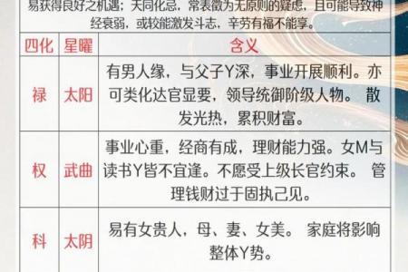 庄氏紫微斗数入门基础知识 庄氏资料？