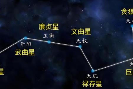 紫微斗数诸星落诸宫之：天机星奴仆宫详解