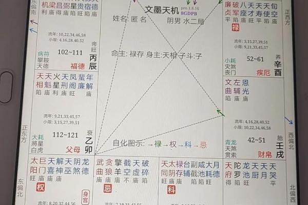 紫薇斗数武曲化科坐命辰宫 紫薇斗数武曲化科坐命辰宫