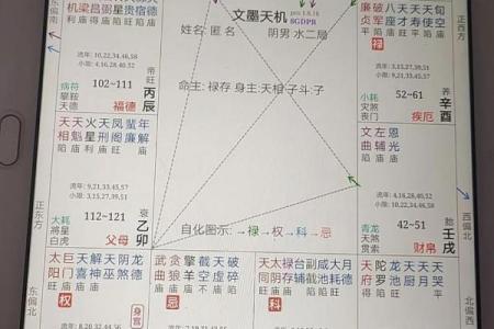 紫薇斗数武曲化科坐命辰宫