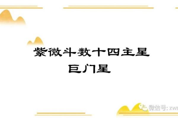 紫薇斗数里的巨门星啥意思