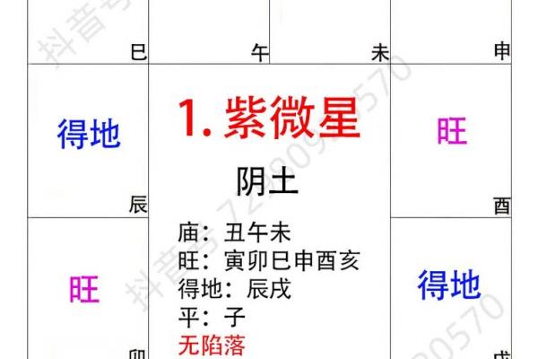 紫薇斗数忌星入十二宫 紫薇斗数忌星入十二宫