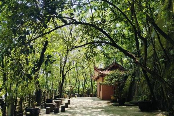 老君洞抽签灵验吗  老君洞算命最准的是哪个