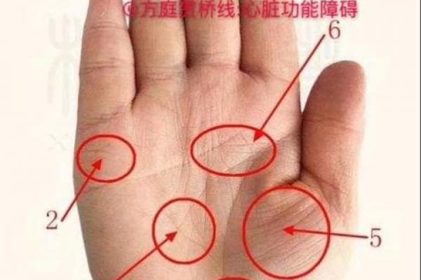 手相算命:几种重要的手纹图解 手相算命:几种重要的手纹图解